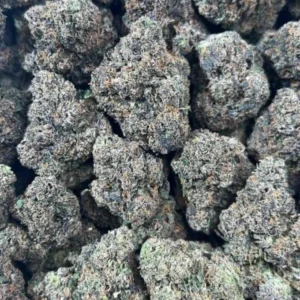 Black Cherry Sherbet