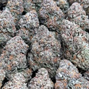 Indoor Platinum Kush