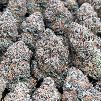 Indoor Platinum Kush