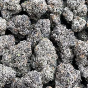 Platinum Candy Mochi