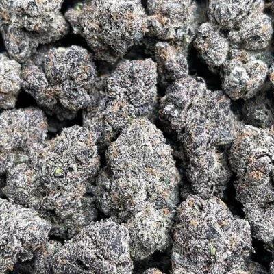 Platinum Candy Mochi