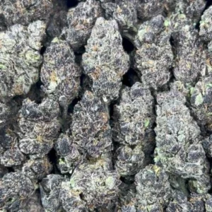Purple Candy Runtz