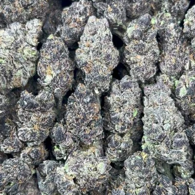 Purple Candy Runtz